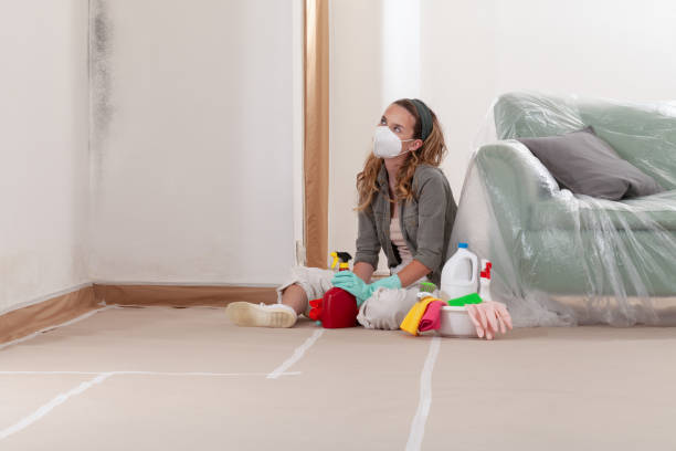 Reliable Black Mold Remediation contractor in Shawboro, NC by 24 Hour Mold Removal